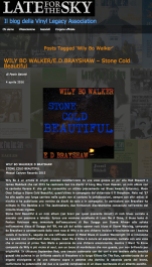 Stone Cold Beautiful_Late for the Sky Review
